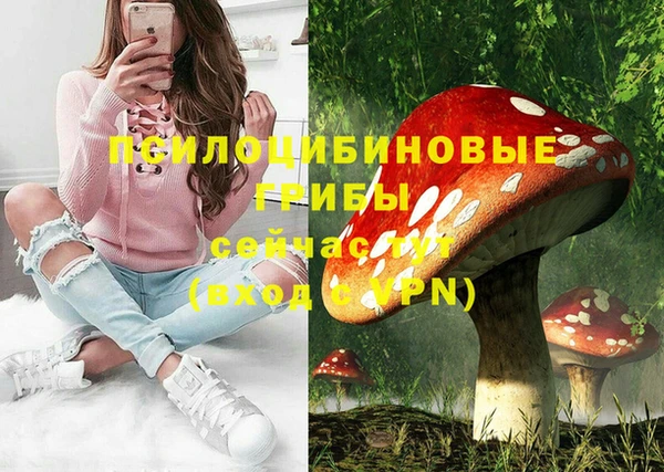 мет Алексин