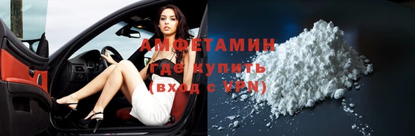мет Алексин