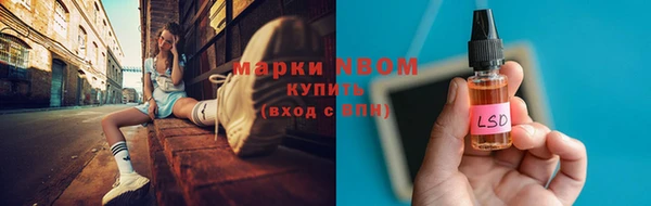 мет Алексин