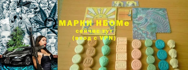 мет Алексин